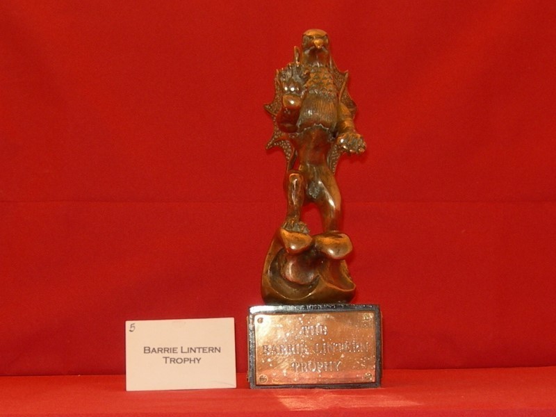 Bridgwater Carnival Barrie Lintern Trophy
