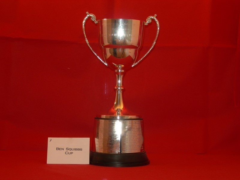 Bridgwater Carnival Ben Squibbs Cup