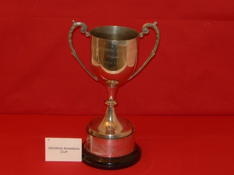 Bridgwater Carnival Geordie Adamson Cup