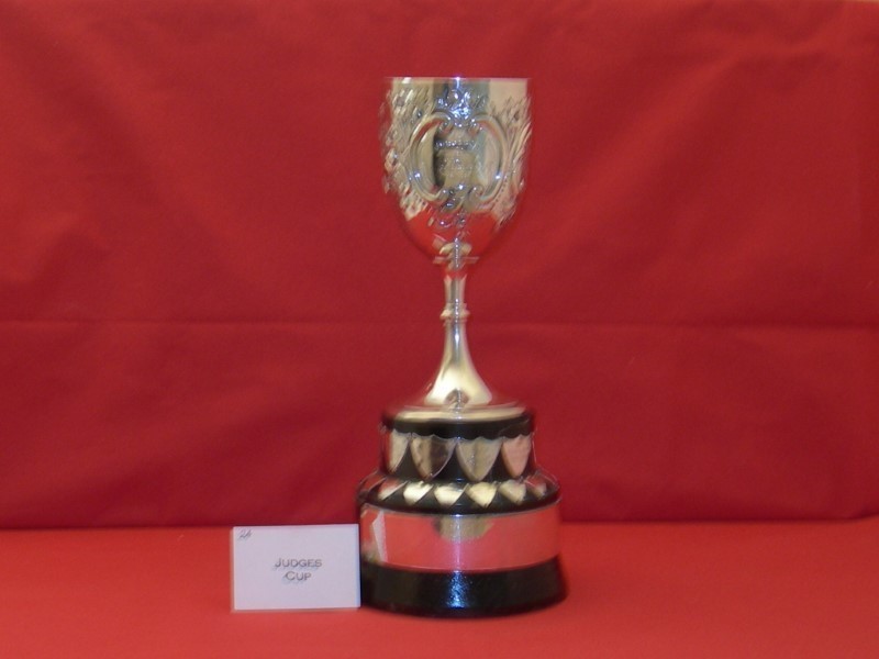 Bridgwater Carnival Judges Cup