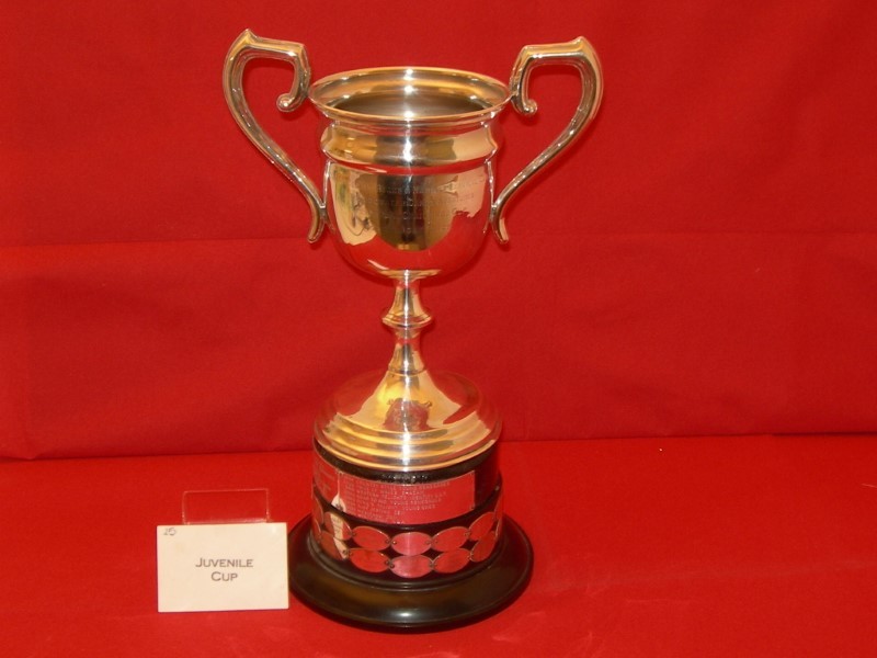 Bridgwater Carnival Juvenile Cup