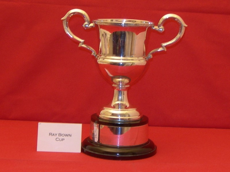 Bridgwater Carnival Ray Bown Cup