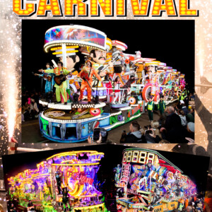 DVD 2024 Poster Cover